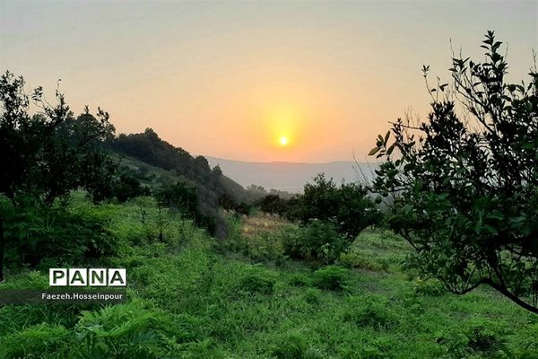 ردای سبز طبیعت در نوروز