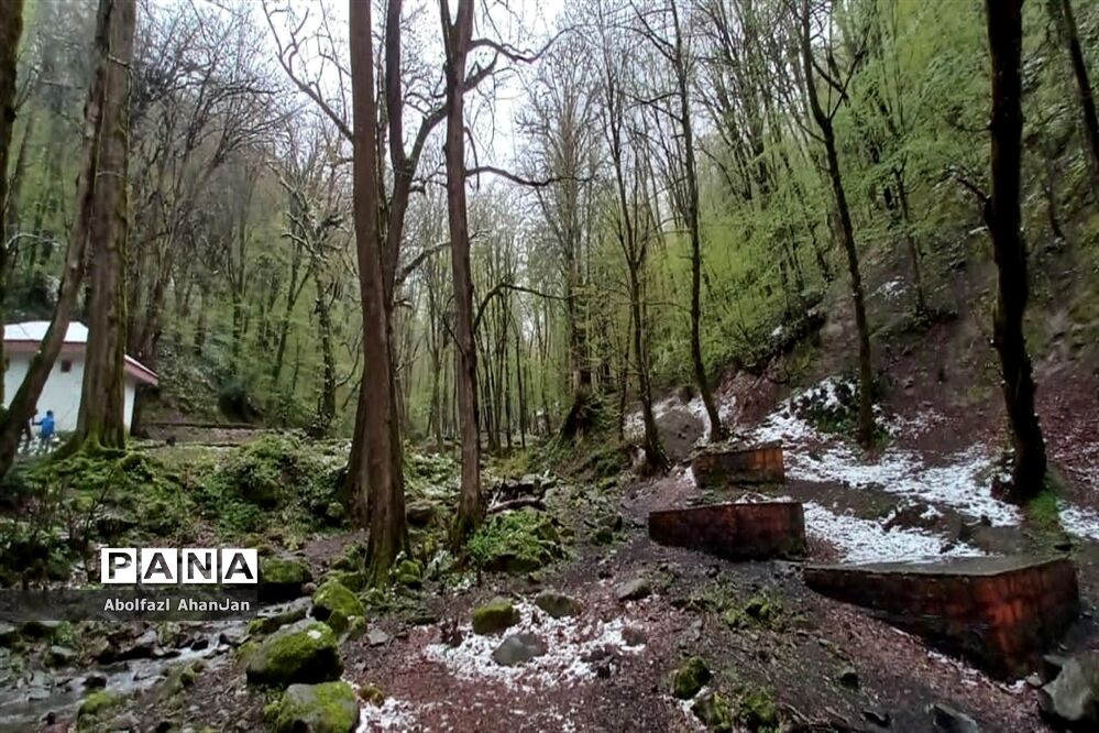 طبیعت بهاری روستای لونک