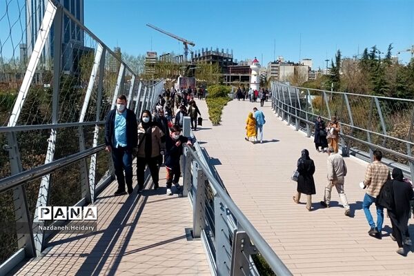 پل طبیعت، از مکان‌های دیدنی تهران