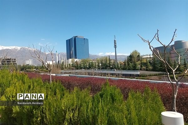 پل طبیعت، از مکان‌های دیدنی تهران