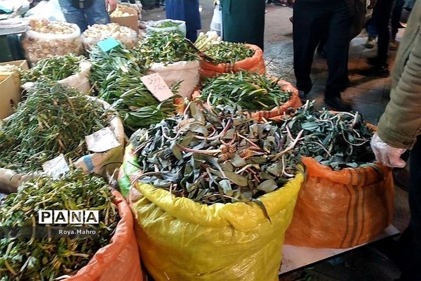 بازار تجریش، مقصد اغلب توریست‌ها در گردشگری