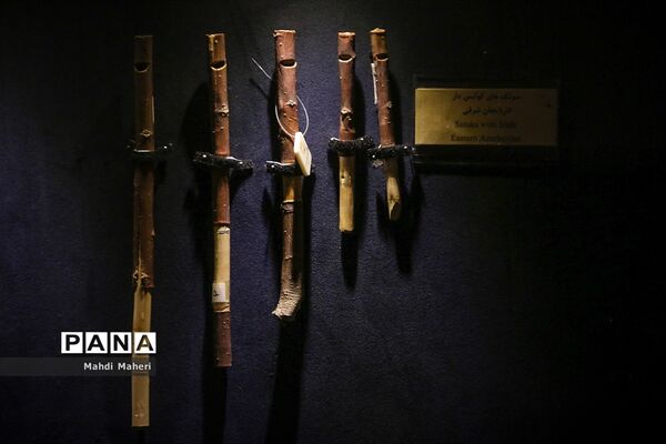 موزه موسیقی تهران
