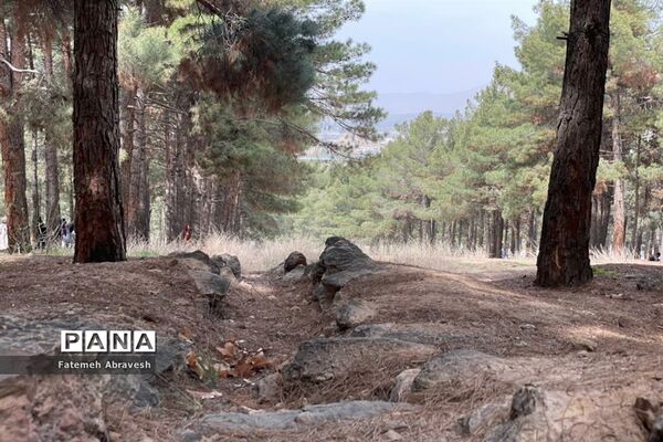 روز طبیعت در جنگل سرخه حصار تهران