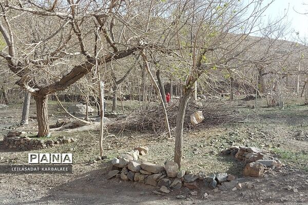 طبیعت زیبای روستاهای هومبر و دوک