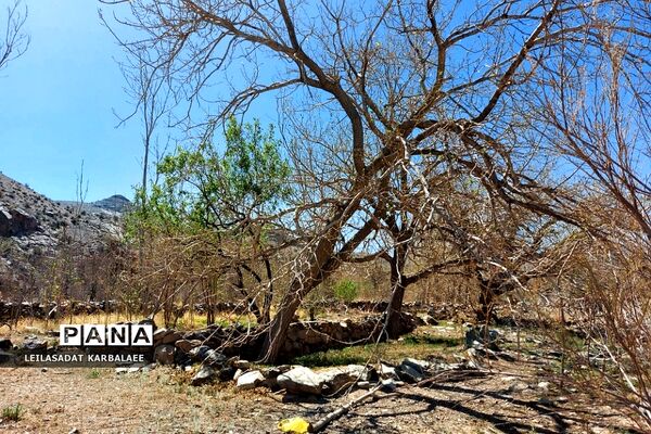 طبیعت زیبای روستاهای هومبر و دوک