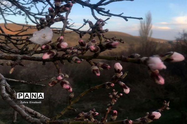 سفری  به روستای عین‌آباد