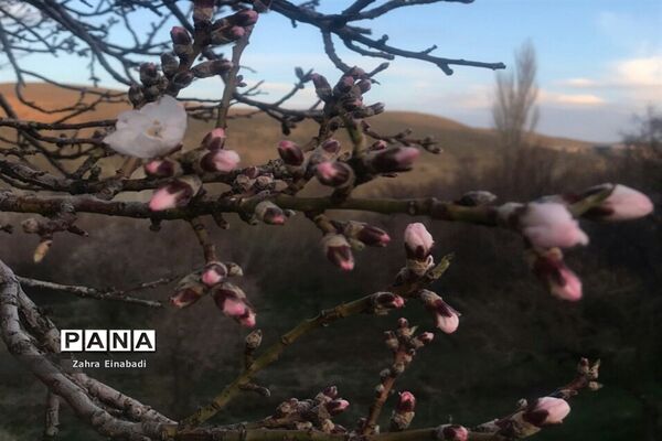 سفری  به روستای عین‌آباد
