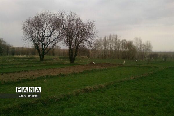 سفری  به روستای عین‌آباد