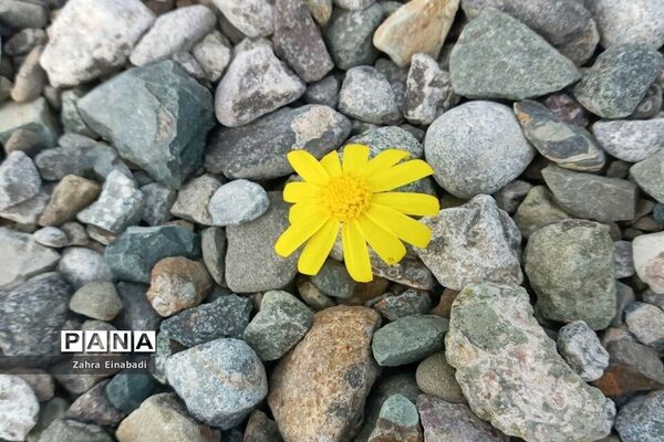 سفری  به روستای عین‌آباد