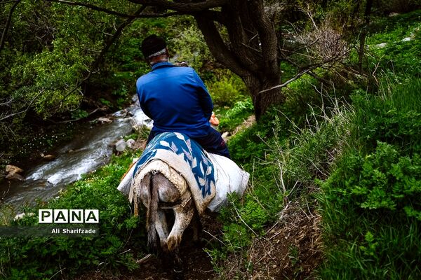 طبیعت زیبای منطقه کوهستانی البرز مرکزی