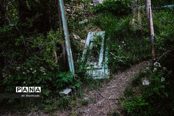 طبیعت زیبای منطقه کوهستانی البرز مرکزی