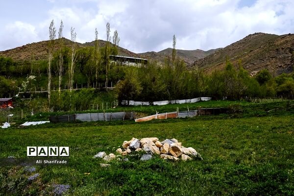 طبیعت زیبای منطقه کوهستانی البرز مرکزی