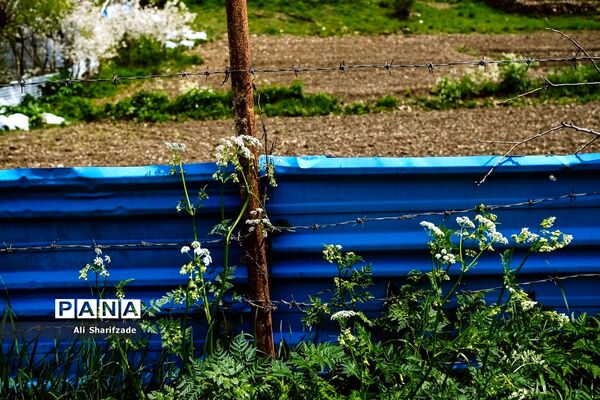 طبیعت زیبای منطقه کوهستانی البرز مرکزی