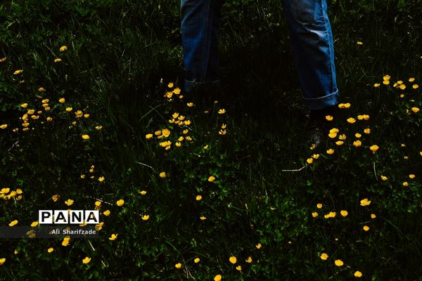 طبیعت زیبای منطقه کوهستانی البرز مرکزی