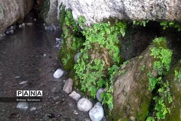 غار لادیز؛ جاذبه‌ای طبیعی و جذاب در فصل بهار