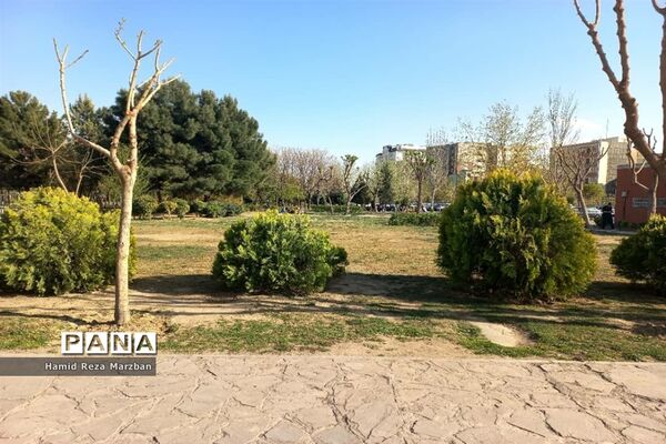 مجموعه ورزشی بوستان ولایت تهران