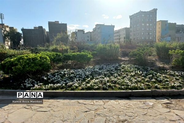 مجموعه ورزشی بوستان ولایت تهران