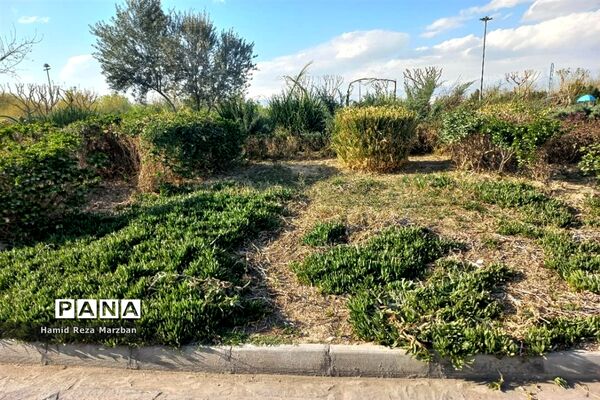 مجموعه ورزشی بوستان ولایت تهران