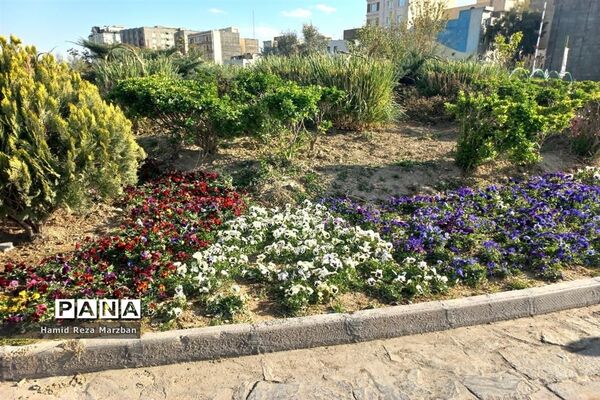 مجموعه ورزشی بوستان ولایت تهران