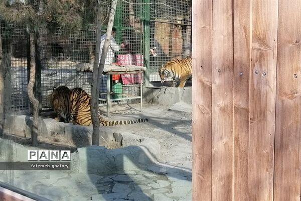 باغ وحش وکیل‌آباد در مشهد مقدس