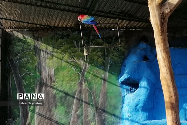 باغ وحش وکیل‌آباد در مشهد مقدس