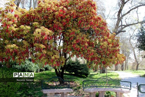مجموعه تاریخی فرهنگی کاخ نیاوران در نوروز 1401
