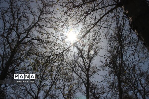 مجموعه تاریخی فرهنگی کاخ نیاوران در نوروز 1401