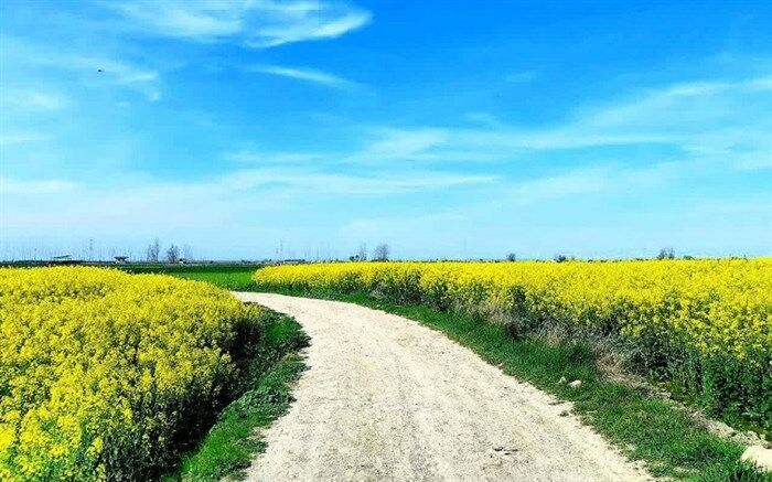 اجرای طرح «هر دانش‌آموز، یک عکاس» در دبیرستان میری قم