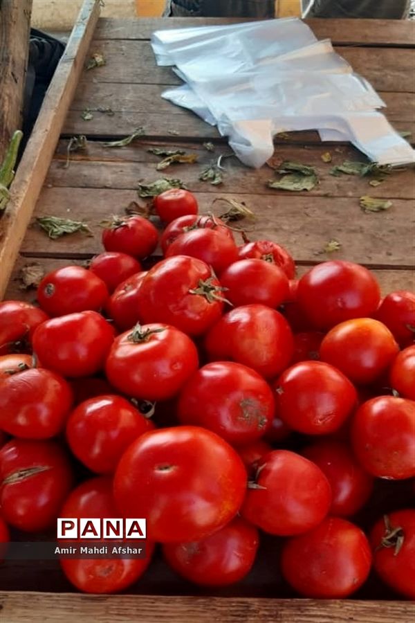 بازارچه محلی در قائم‌شهر