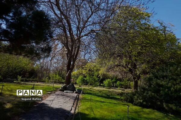 طبیعت زیبای بهاری باغ گیاه‌شناسی ملی ایران