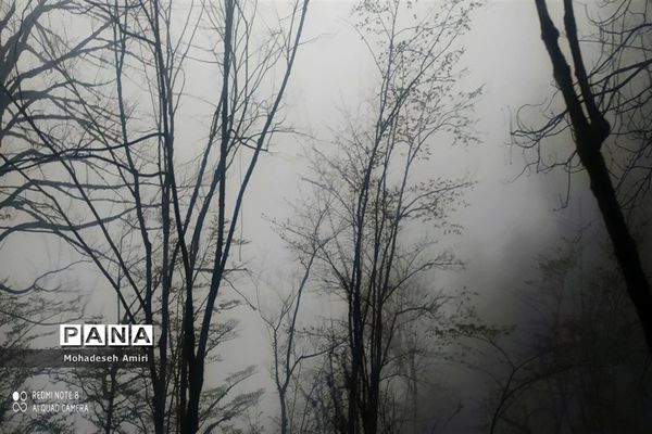 لاویج؛ بهشت گمشده مازندران