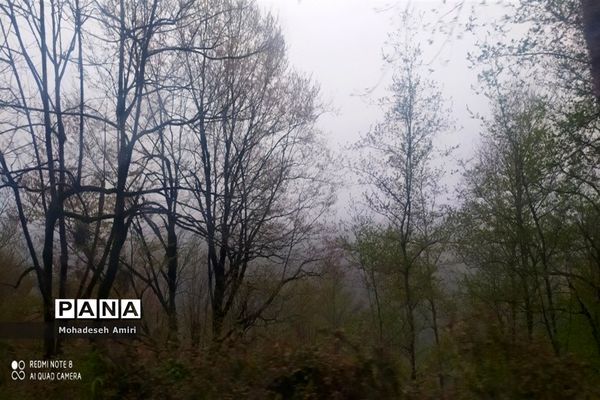 لاویج؛ بهشت گمشده مازندران