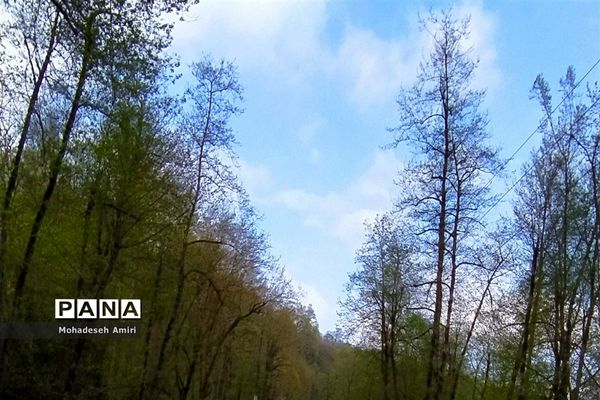 لاویج؛ بهشت گمشده مازندران