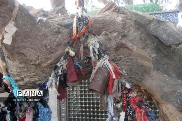 زیارتگاه باستانی بی بی دوست در سیستان