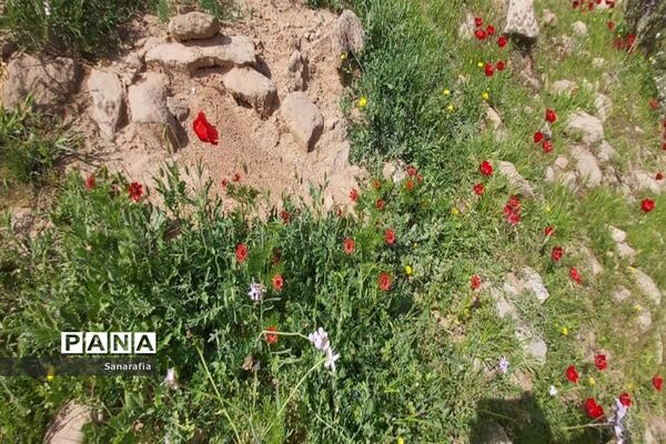 طبیعت زیبای سردشت دزفول در بهار1401