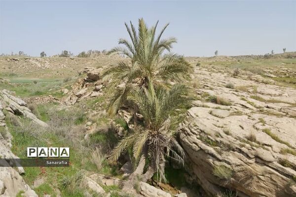 طبیعت زیبای سردشت دزفول در بهار1401