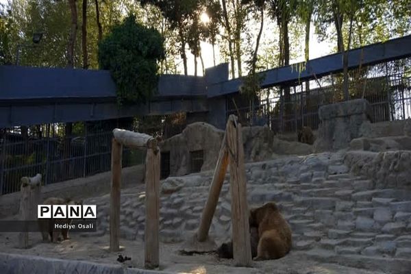 باغ وحش پارک ارم تهران