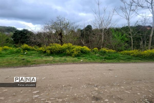 طبیعت استان مازندران در فصل بهار