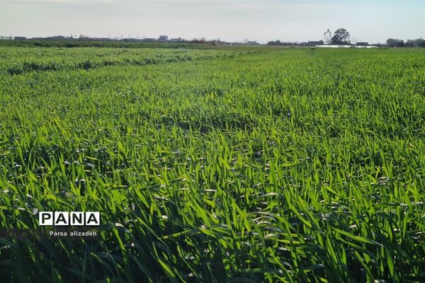 طبیعت استان مازندران در فصل بهار