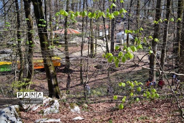 طبیعت استان مازندران در فصل بهار