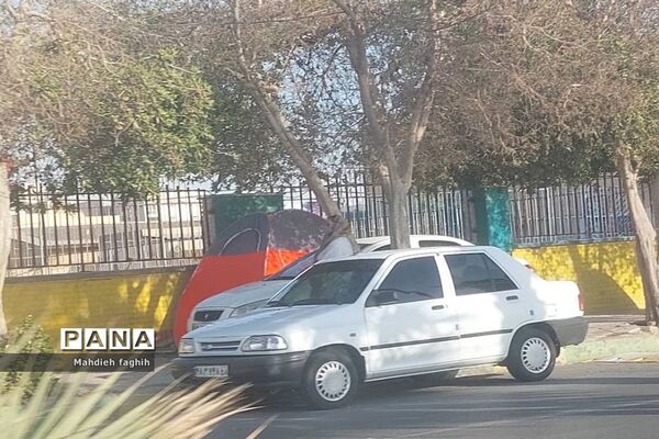 حضور مهمانان نوروزی در شهر بوشهر