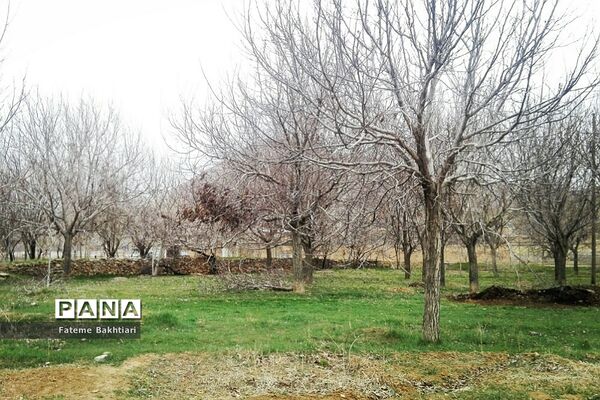 طبیعت بهاری و جاذبه‌های دیدنی روستای عمارت