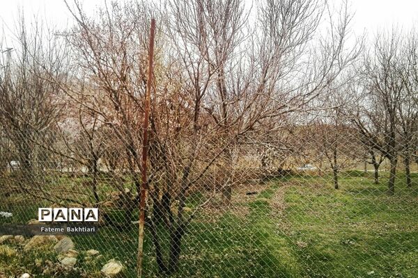 طبیعت بهاری و جاذبه‌های دیدنی روستای عمارت