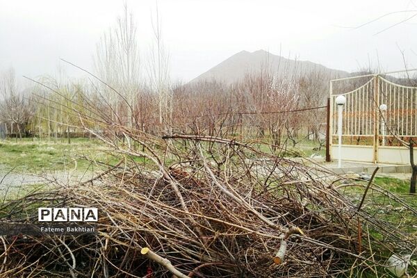 طبیعت بهاری و جاذبه‌های دیدنی روستای عمارت