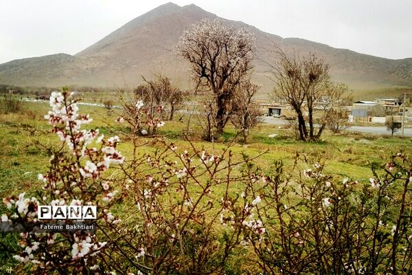 طبیعت بهاری و جاذبه‌های دیدنی روستای عمارت