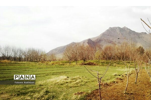 طبیعت بهاری و جاذبه‌های دیدنی روستای عمارت
