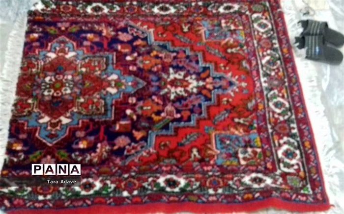 چطور موهای روی فرش را جمع کنیم؟