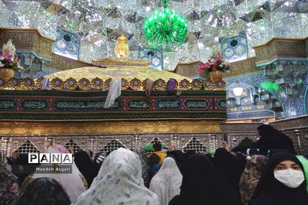 انس دلدادگان با حرم حضرت معصومه (س) و مسجد جمکران