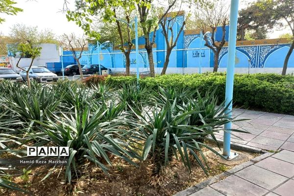 آستان مقدس حضرت علی‌ ابن حمزه (ع)