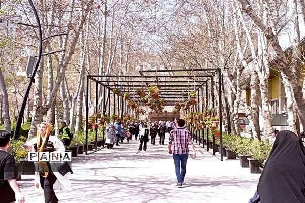 برگزاری جشنواره لاله‌ها در پارک چمران